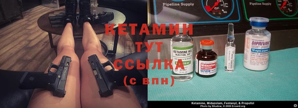 индика Баксан