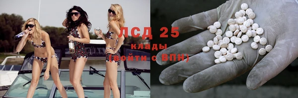 эйфоретик Аркадак