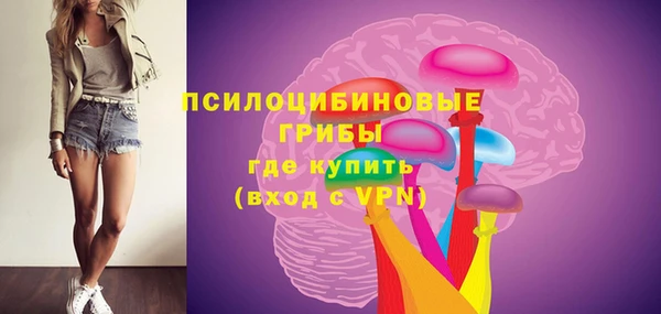 apvp Балахна