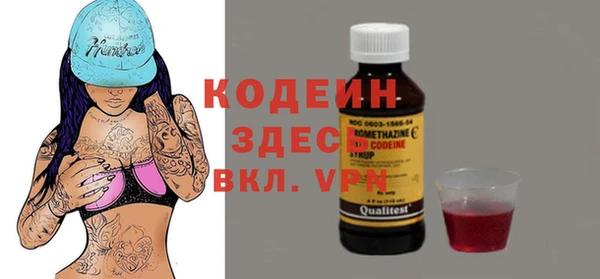 дмт Арсеньев