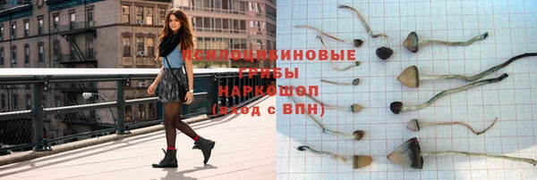 эйфоретик Аркадак