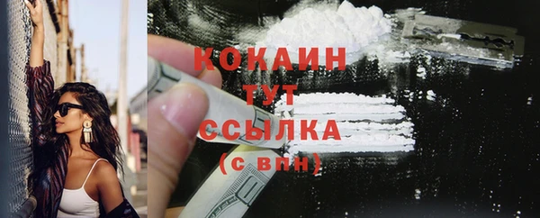 индика Баксан