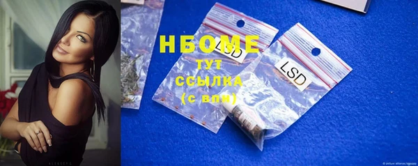индика Баксан
