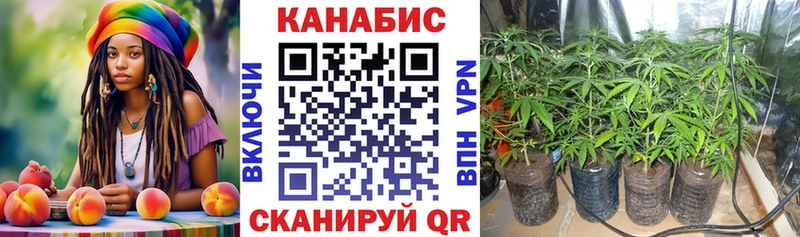 МАРИХУАНА SATIVA & INDICA  Зея 